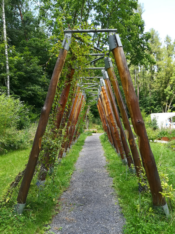 003 - IMG_20190714_130312