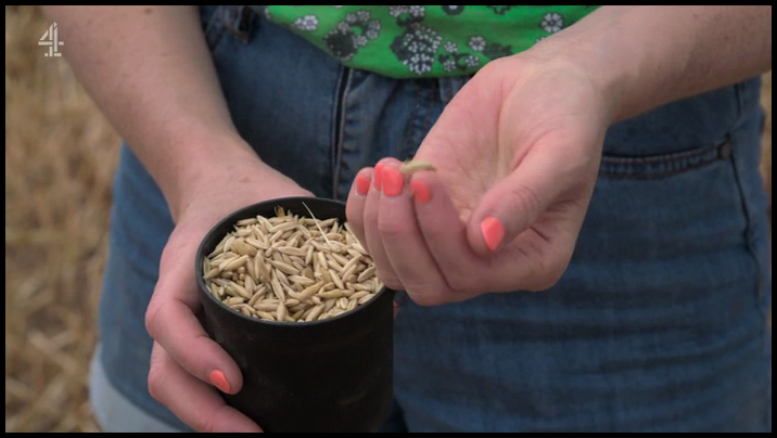 [Image: 0kcqrv0ryn63.png]