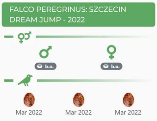 DREAM JUMP SZCZECIN  Przechwytywanie-w-trybie-pe-noekranowym-17-03-2022-182907