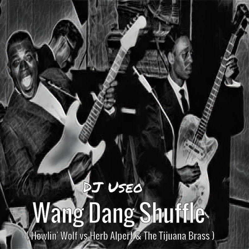 djuseo-wang-shuffle