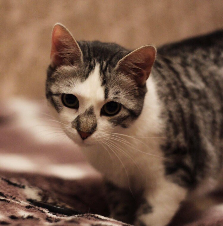 3FCCB40F-ED87-4258-97FE-CF5E52C1800D