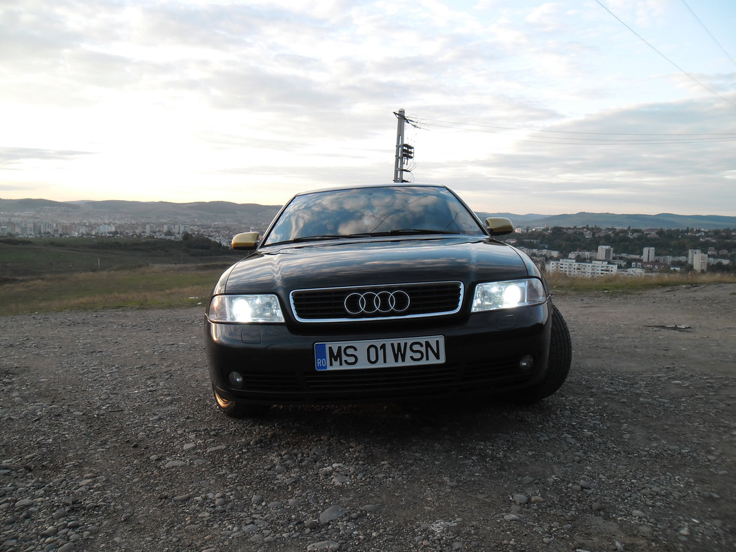SAM_0049