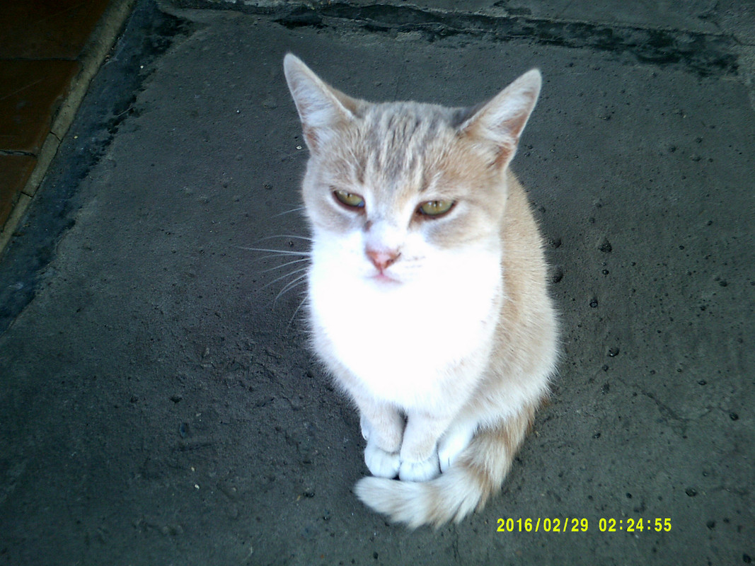 DSCF0023.jpg