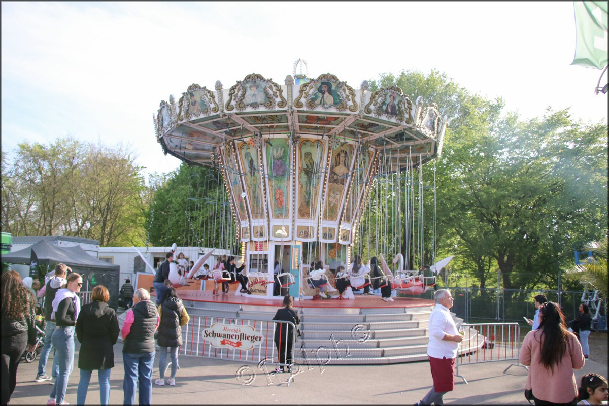 IMG 0111 — Postimages