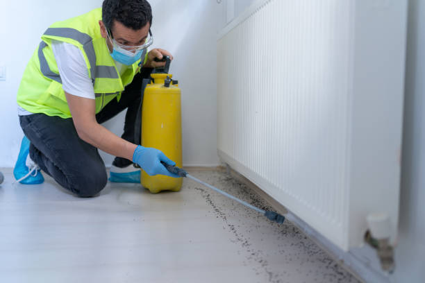 Orlando pest control