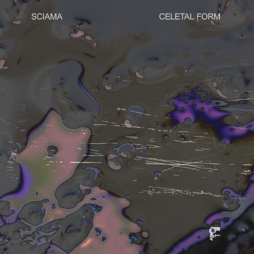 00-sciama-celetal-form-smdelp20-web-2026