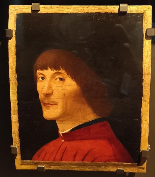 Milán-Turín-Génova-Pavía - Blogs de Italia - Pavía: la famosa batalla y sus torres medievales (134)