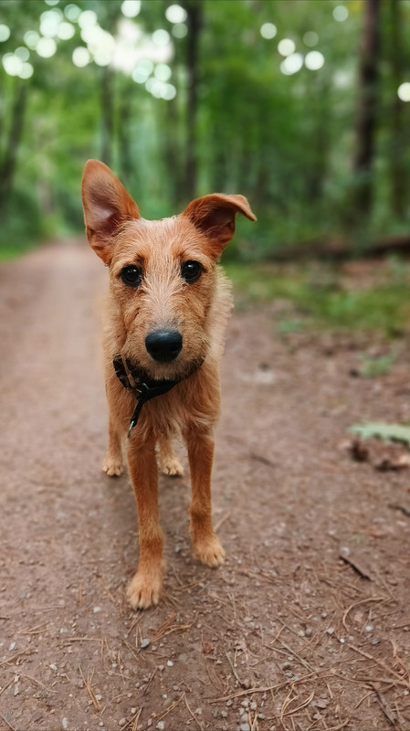 Lumii_20250812_091844294