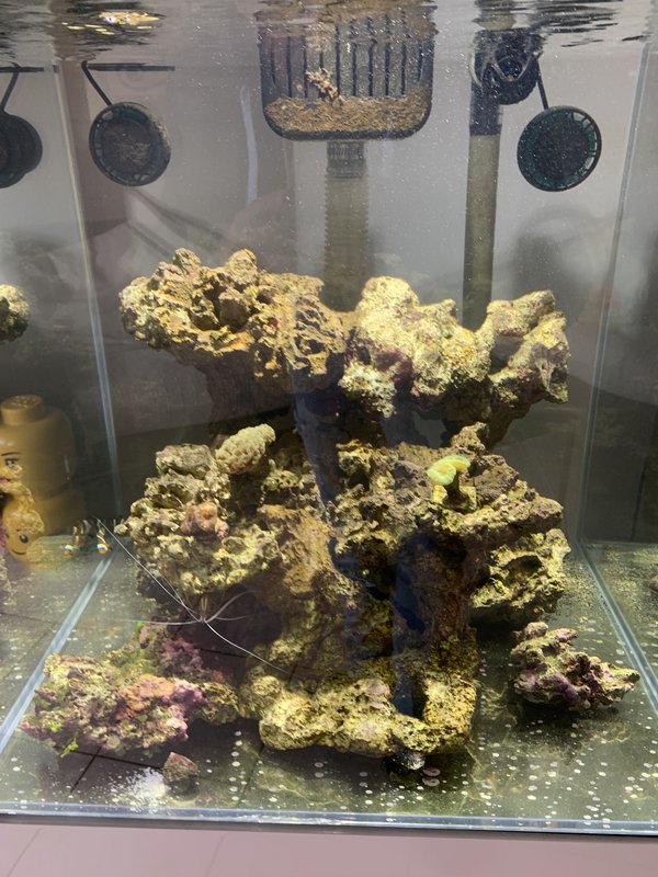 4D31649C-E804-4EE5-B573-81A96D2AB1DD