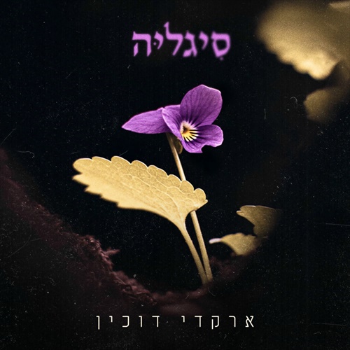 תמונה