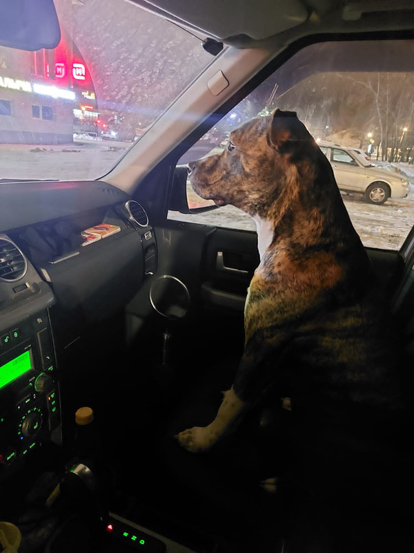 AC109FA2-C43F-4E04-9770-D58D72F78625