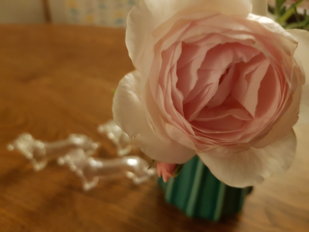 [Image: 20210822-015039.jpg]