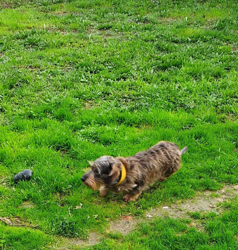 [Image: 20221030-063316.jpg]