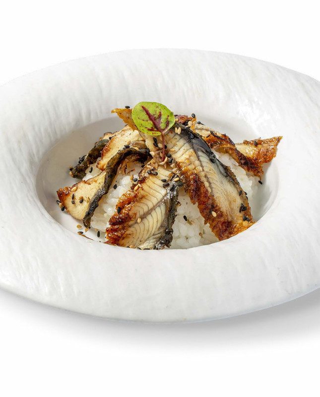 623. Chirashi anguilla