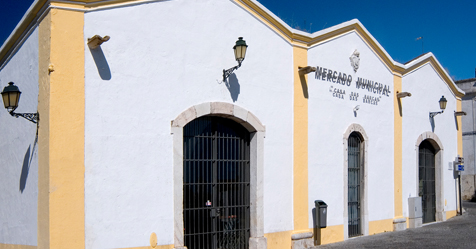 ELVAS: CONCELHO LEVA 12 DIAS SEM NOVOS CASOS DE COVID-19