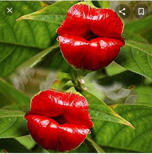 [Image: Screenshot-20200217-113555-Samsung-Internet.jpg]