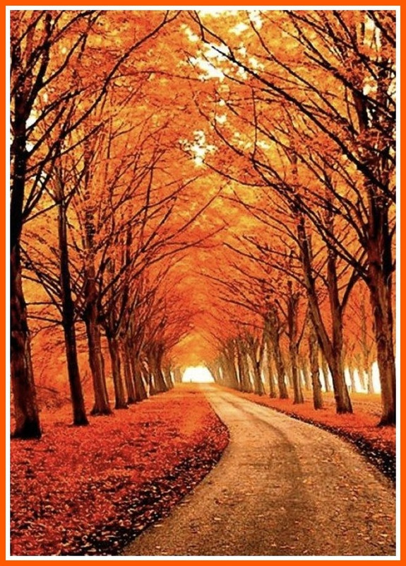 EC27F813-E539-462E-9BE3-78EC0050BD55