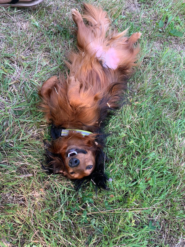 [Image: IMG-20220726-WA0000.jpg]