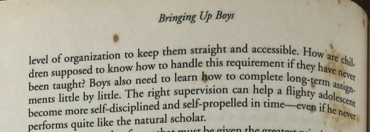 E33C58D0-4212-4A32-9807-86F474A7F0E7