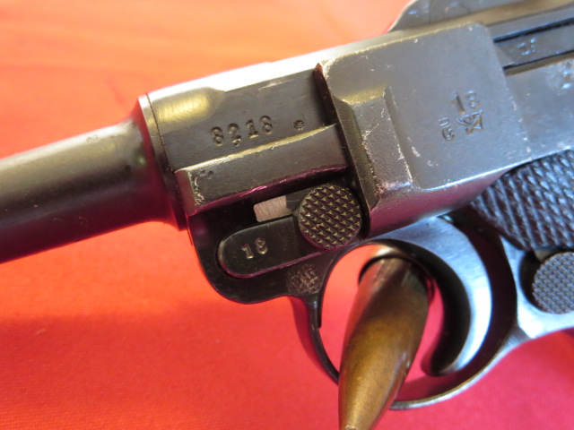 IMG-3447