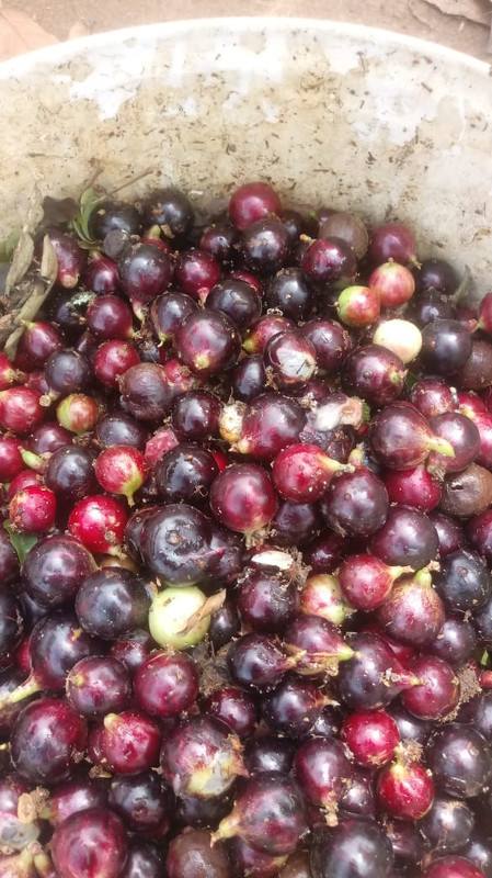 WhatsApp Image 2020-12-20 at 00.58.58 (2)