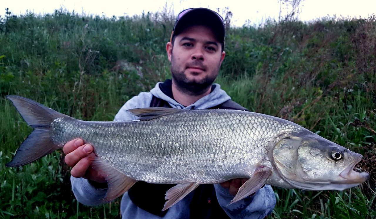 Resized_20180515_203554