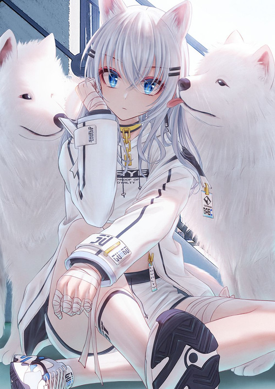 Tsumino Tags