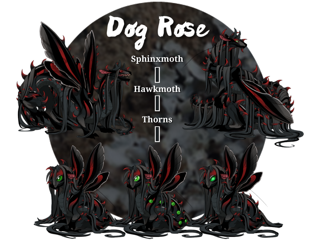 FR-Dog-Rose-PNG.png