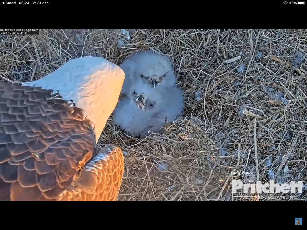 66F7DAB6-DF09-4A14-AE83-777ACB17458B