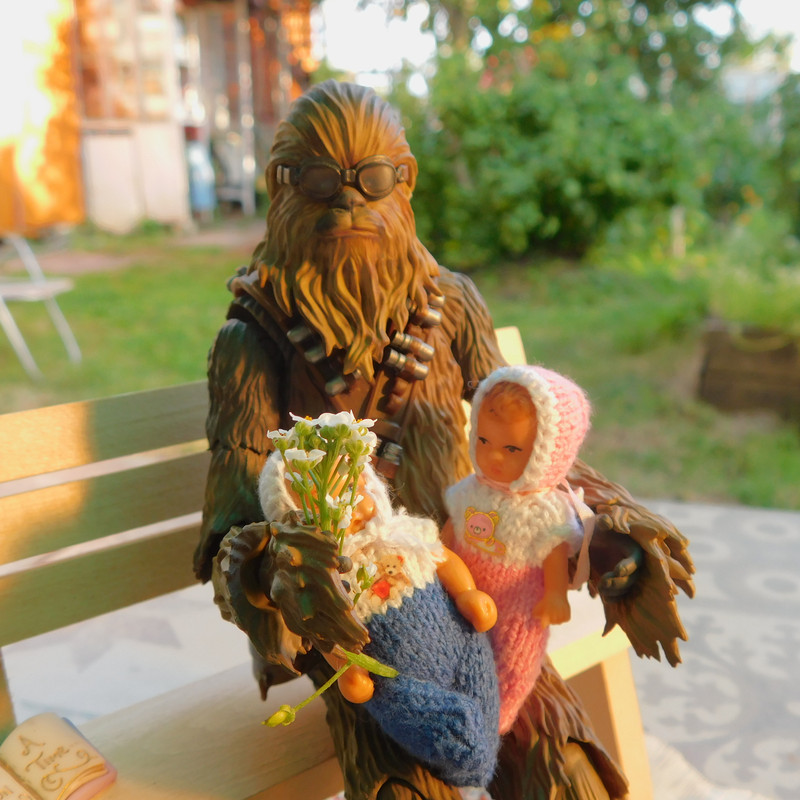 Дачно-Харлинский июнь-июль 2024 246