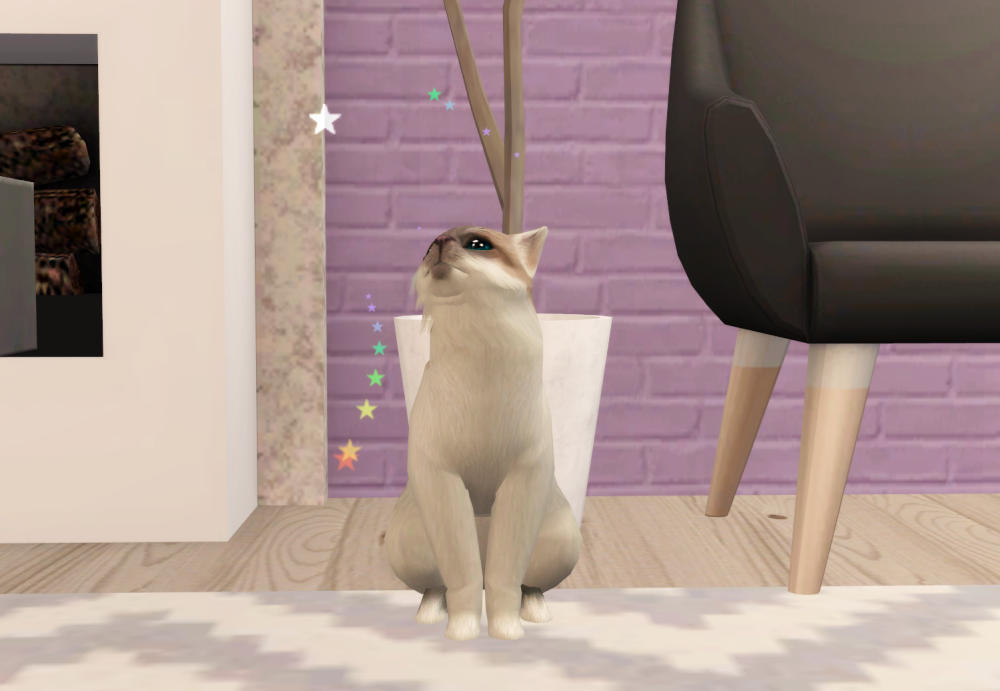 Sims2-EP9-RPC-2021-11-04-19-27-10-13