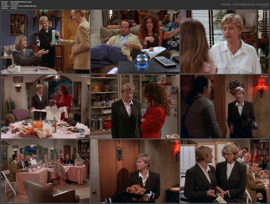 Ellen S03E08 Salad Days.mkv