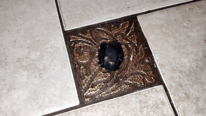 GIF-20250502-114633-232.gif