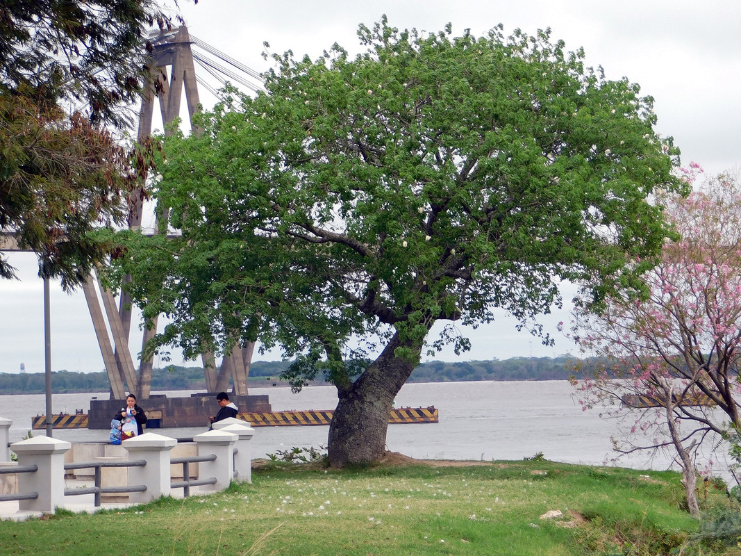 DSCN1373.jpg