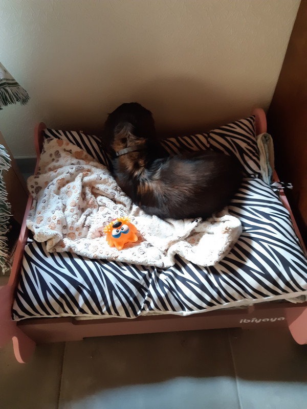 [Image: 20200813-114136.jpg]