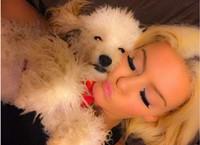 bcd65d7dd57d858cb3209a85597333b3