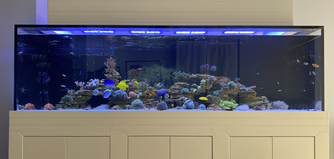 FAFACFFF-842B-4E67-834E-93254C177F80