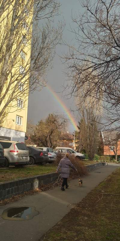 Kép