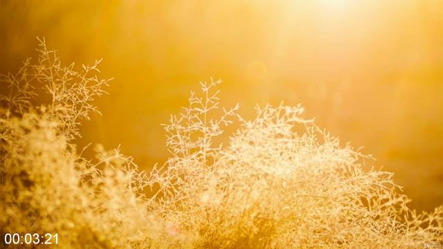 [Image: G-PAyurveda-for-Mindful-Living-Food-for-...tation.jpg]