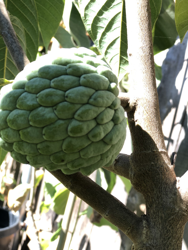 EF537677-7B63-4F23-9F0B-AB4D3EF362CC