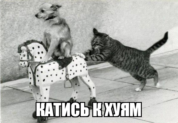 demotivatorium_ru__22792