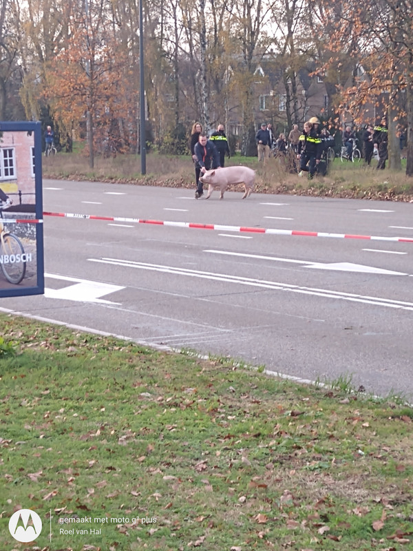 IMG_20201125_145805946