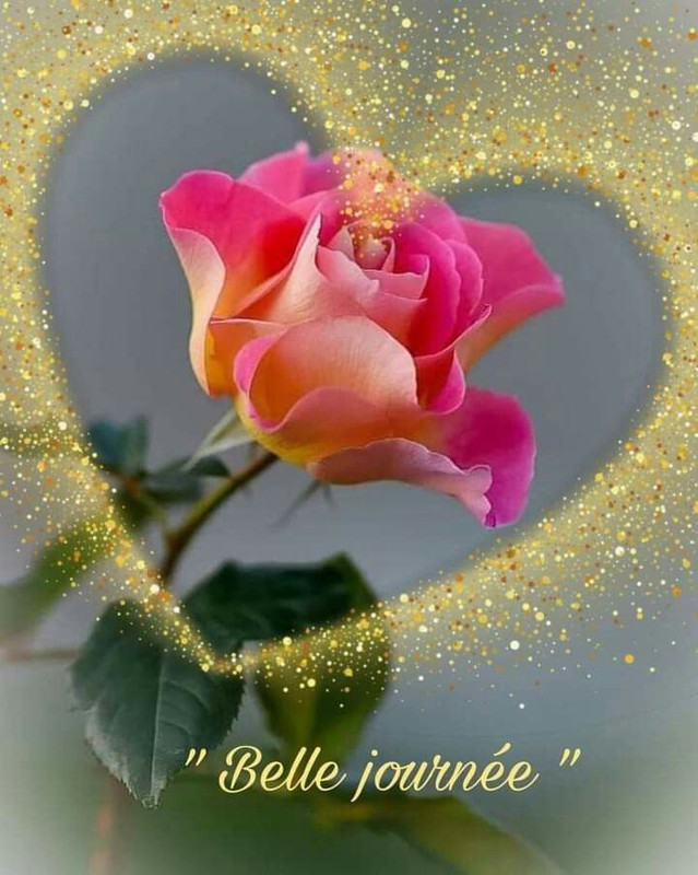 belle-journee