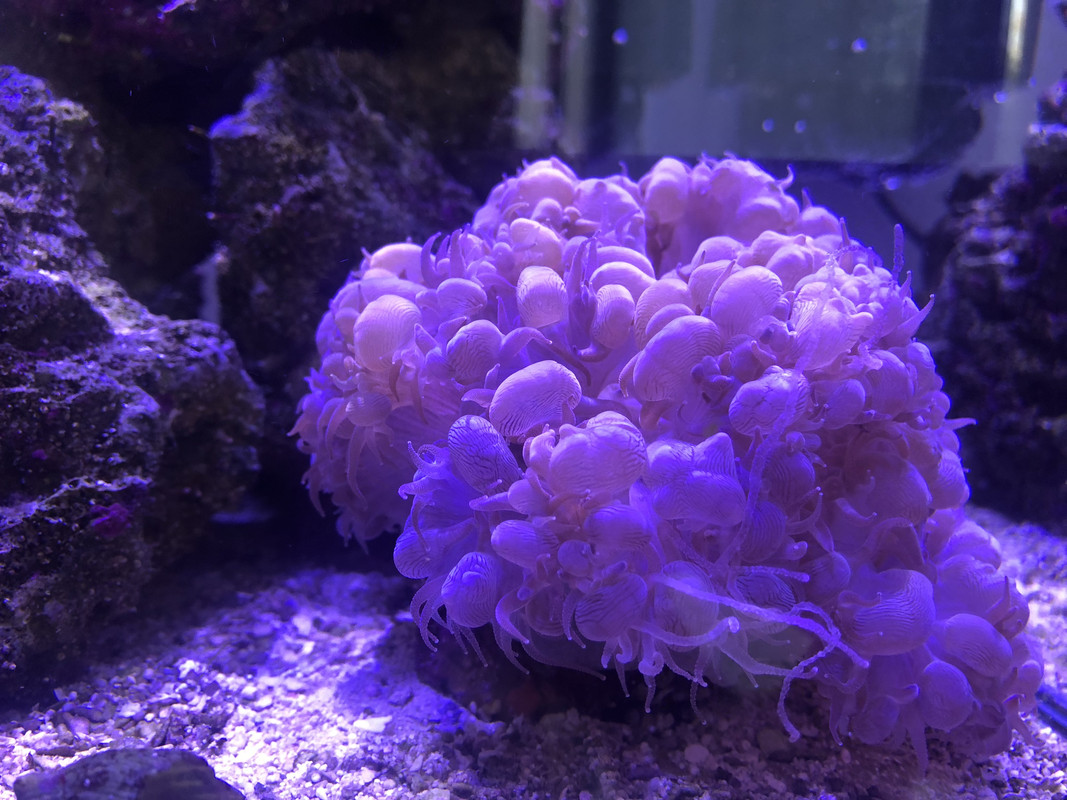 C56108FB-88C9-4257-A434-0A8BAEADB2E9