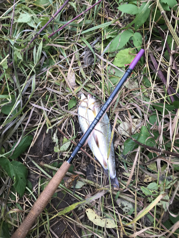 901691A6-F2F9-44F0-B32B-184E16D706C1