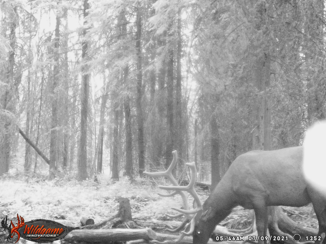 8E9F40AF-7504-4196-ABBE-72F89FAE0E2F