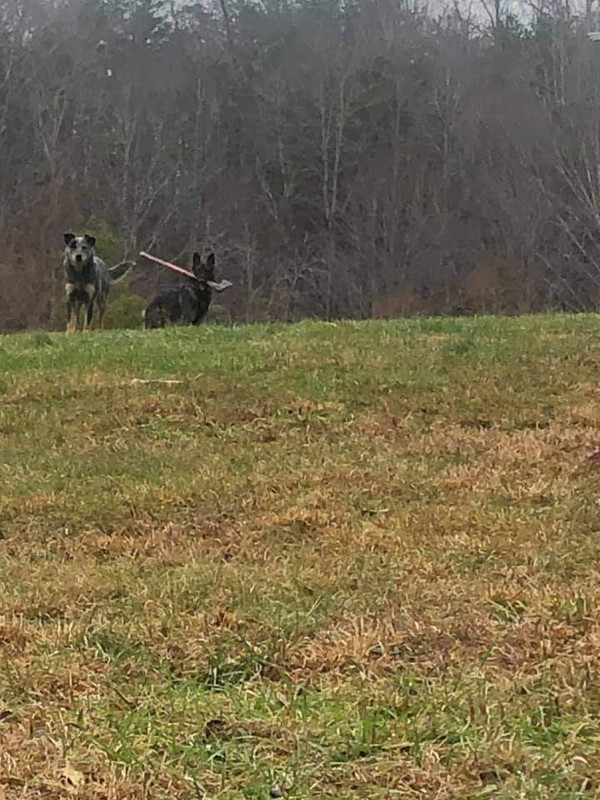 FB_IMG_1608358372905