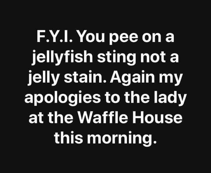 pee_on_jelly_fish_sting_not_jelly_stain.jpg