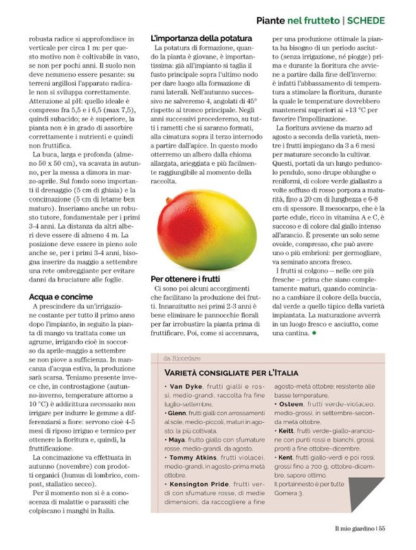 Il Mio Giar GIu-Lug 2022 (10)