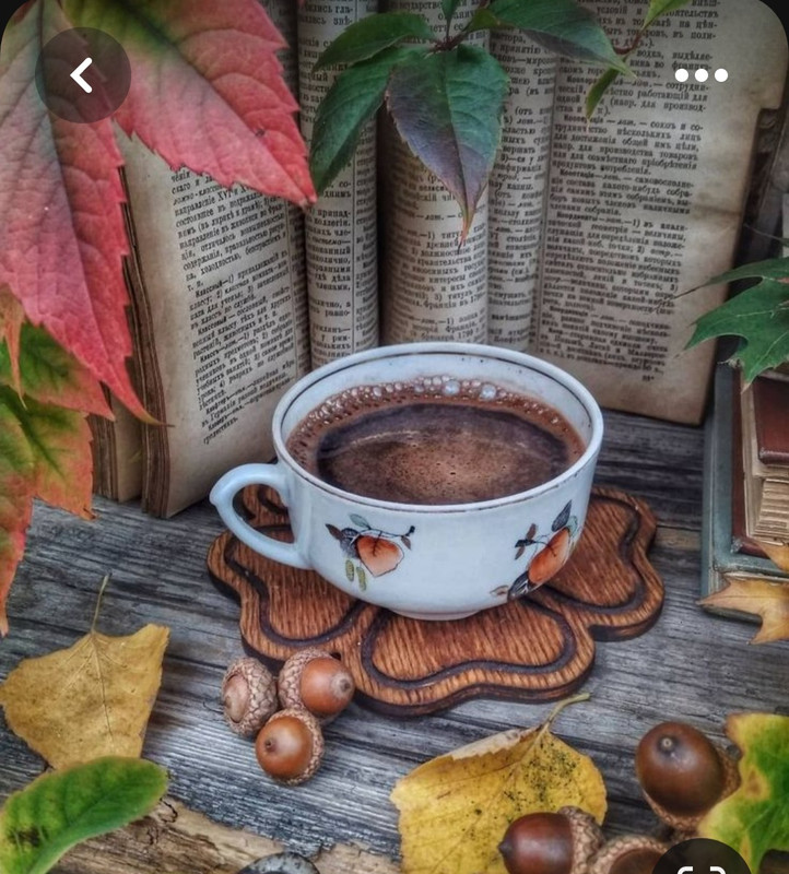 Screenshot_20230710_234247_Pinterest